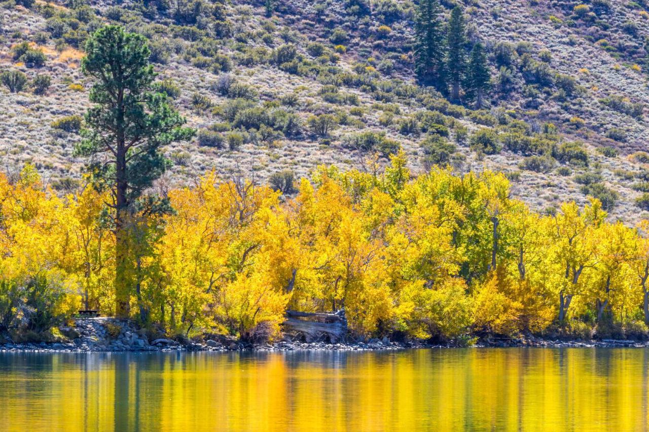 June Lake Motel Dış mekan fotoğraf